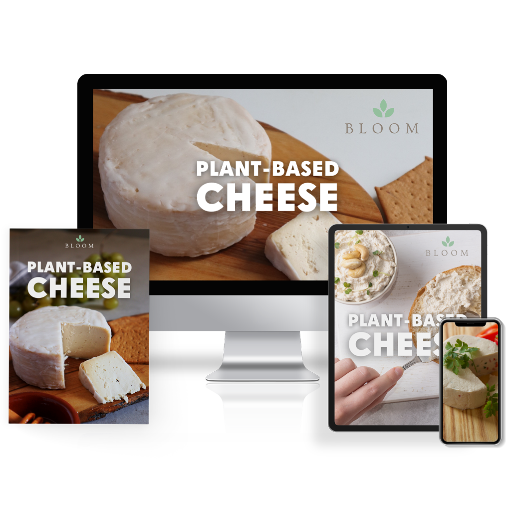 Plant Based Cheese Cookbook